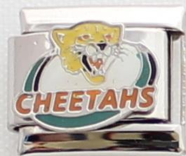 Cheetahs Rugby 9mm Charm-Charmed Jewellery