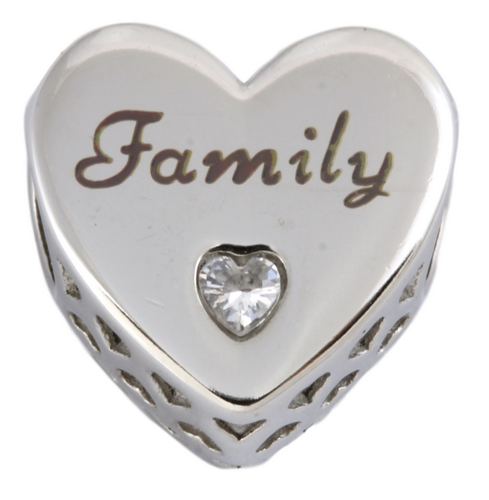 Stainless Steel European Charm - Family Heart-Charmed Jewellery