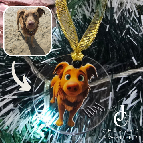 Personalized Cartoon Pet Photo Acrylic Ornaments