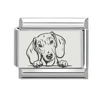 9mm Laser Engraved Charm - Sausage Dog