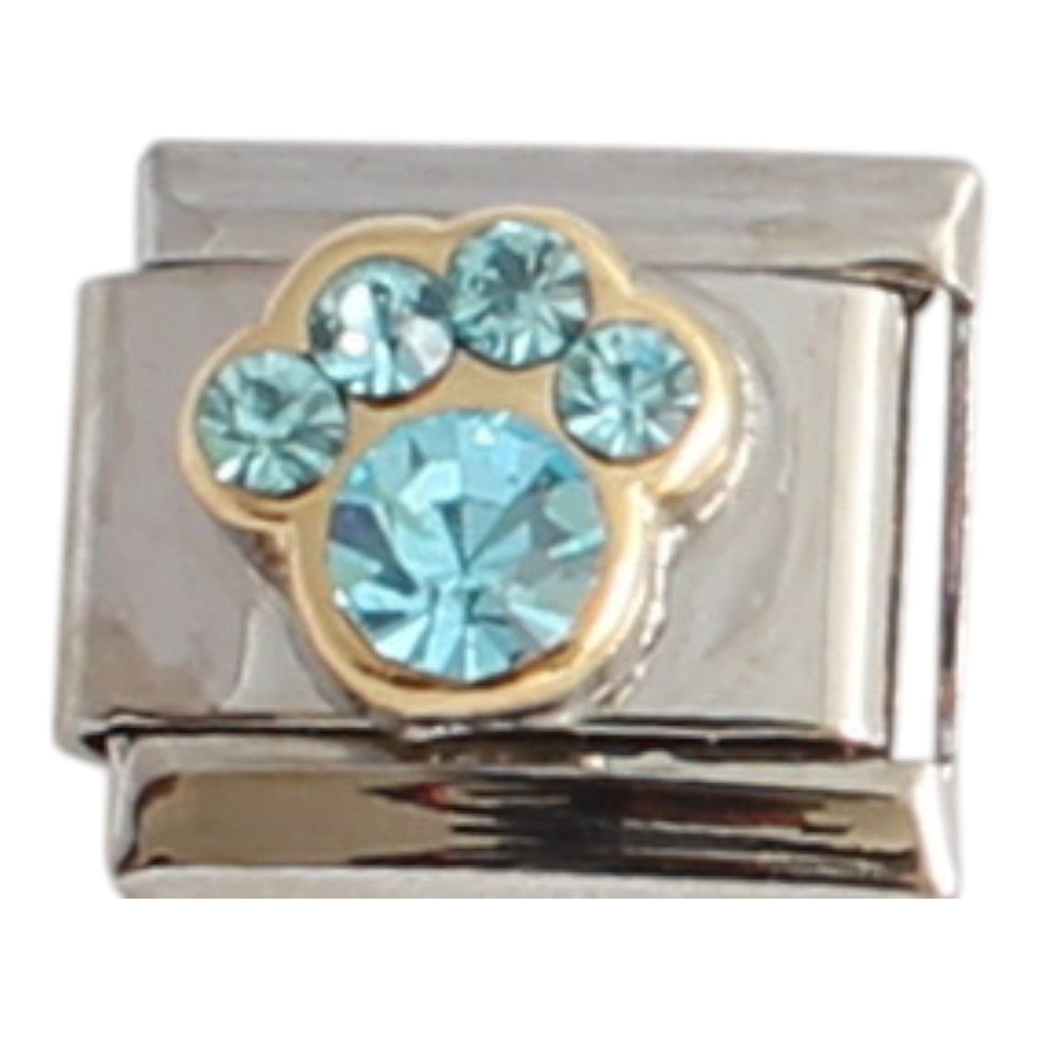 March Birthstone Paw 9mm Charm