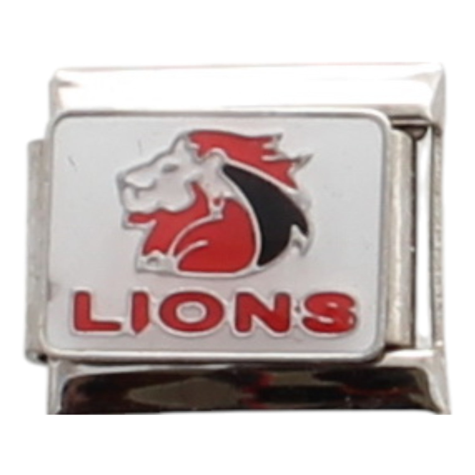 Lions Rugby 9mm Charm