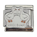 Goose Bumps 9mm Charm