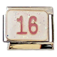 16 9mm Charm
