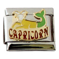 Capricorn Colour 9mm Charm