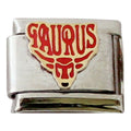 Taurus Colour 9mm Charm