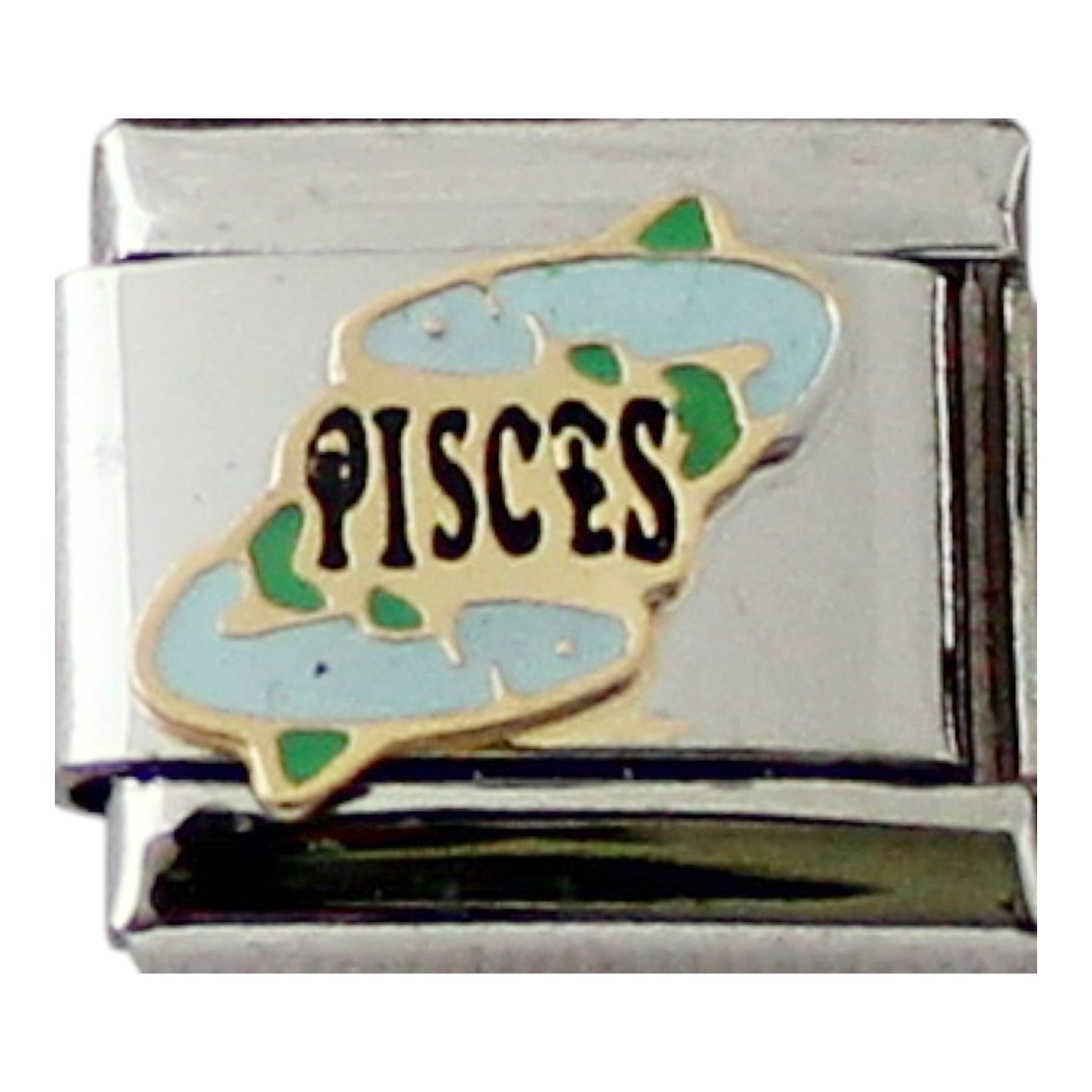 Pisces Colour 9mm Charm