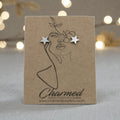 Stainless Steel Star Stud Earrings