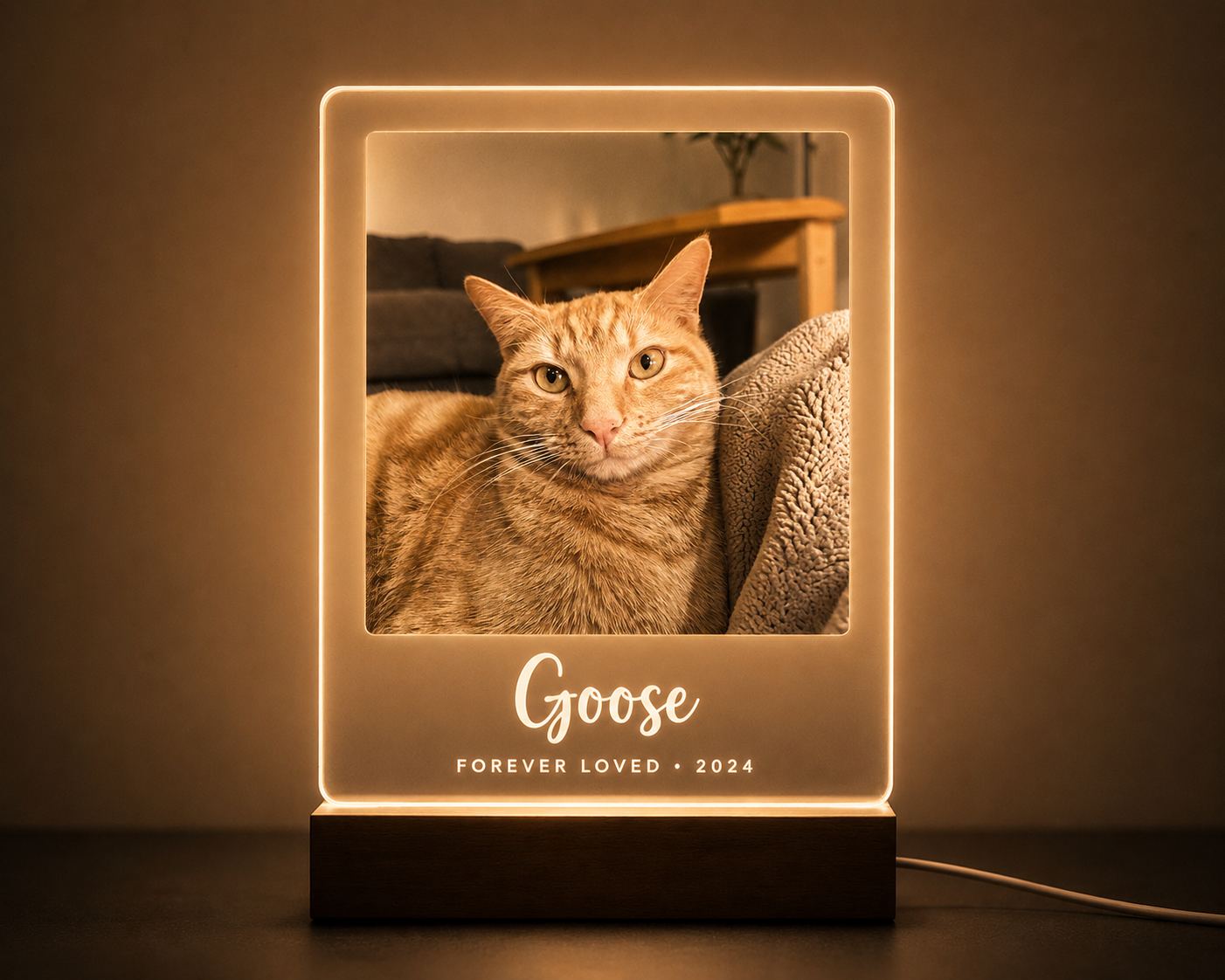 Pet Memorial Custom LED Night Light