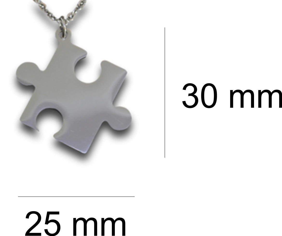 Puzzle Pendant & Chain - Card 106