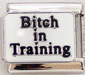 Bitch in Training 9mm Charm-Charmed Jewellery