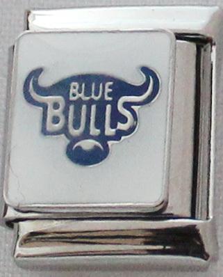 Blue Bulls Rugby 13mm Charm-Charmed Jewellery