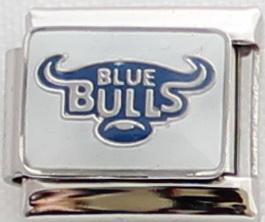 Blue Bulls Rugby 9mm Charm-Charmed Jewellery