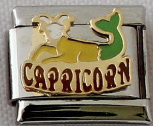 Capricorn Colour 9mm Charm-Charmed Jewellery