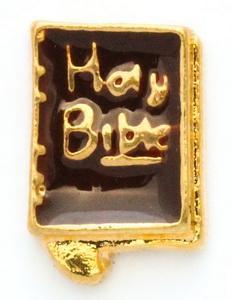 Holy Bible Locket Charm-Charmed Jewellery