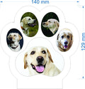 Personalized Paw Photo LED Night Light