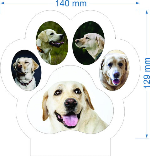 Personalized Paw Photo LED Night Light