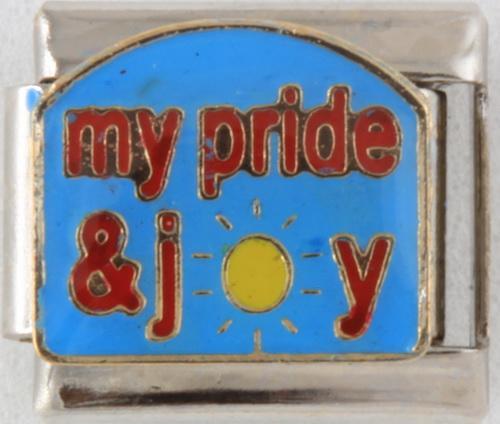 My Pride & Joy 9mm Charm-Charmed Jewellery