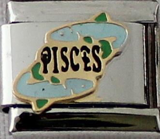 Pisces Colour 9mm Charm-Charmed Jewellery