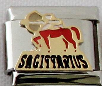 Sagittarius Colour 9mm Charm-Charmed Jewellery