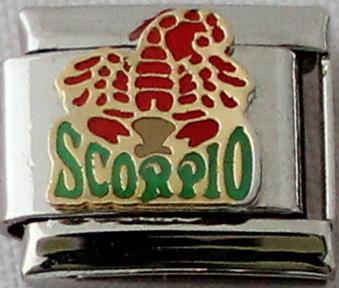 Scorpio Colour 9mm Charm-Charmed Jewellery